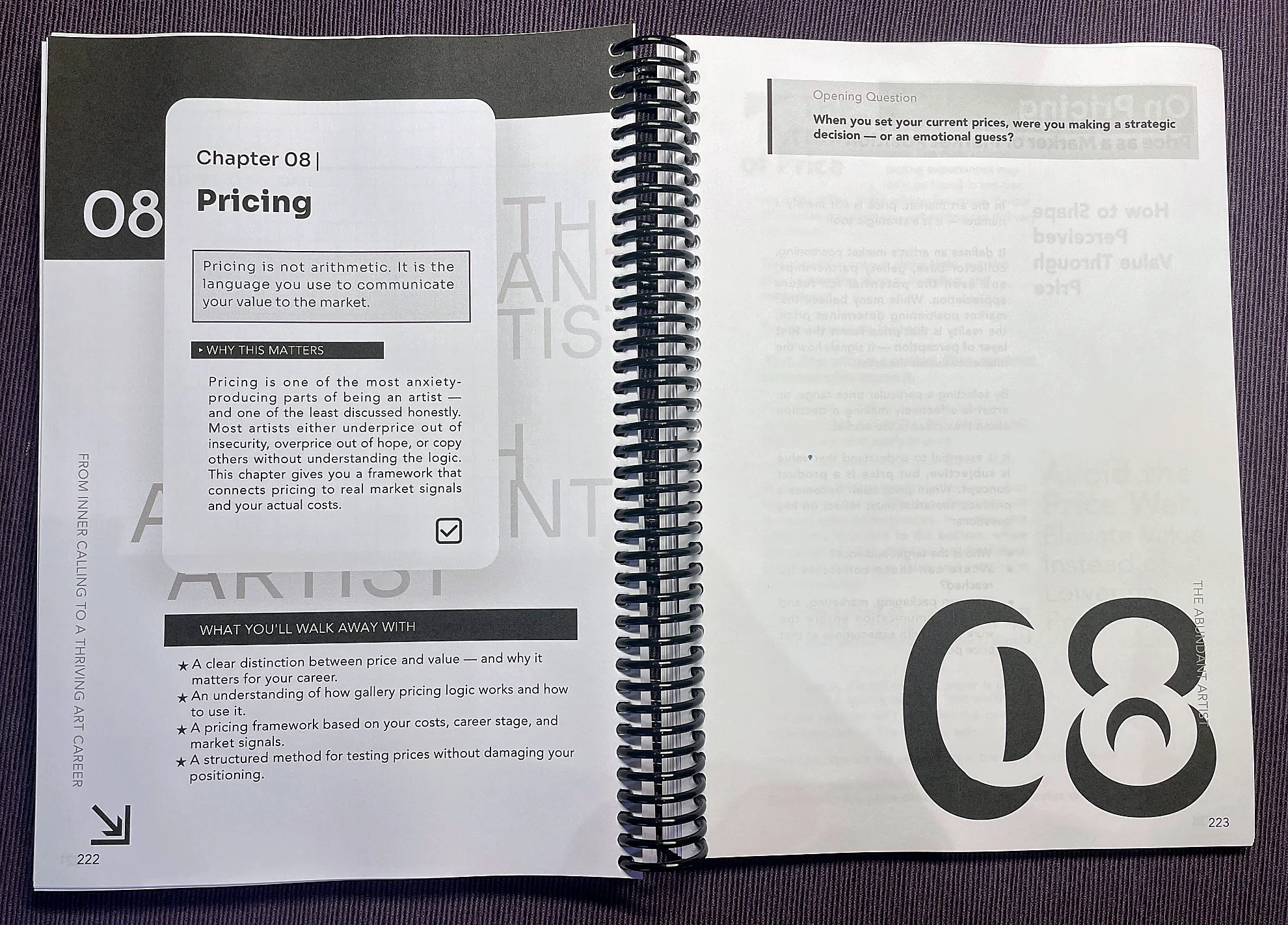 Photographed Chapter 8 pricing spread asking whether a price was a strategic choice or emotional guess